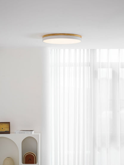 Still Timber Ceiling Light