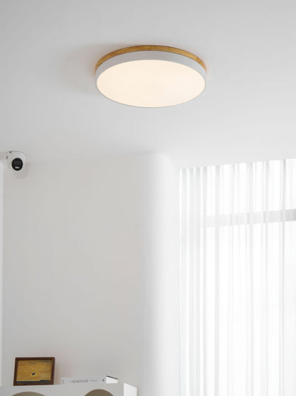 Still Timber Ceiling Light