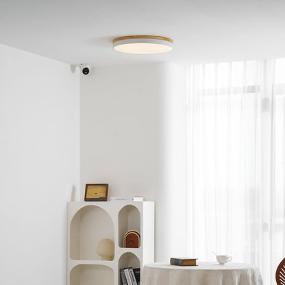 Still Timber Ceiling Light
