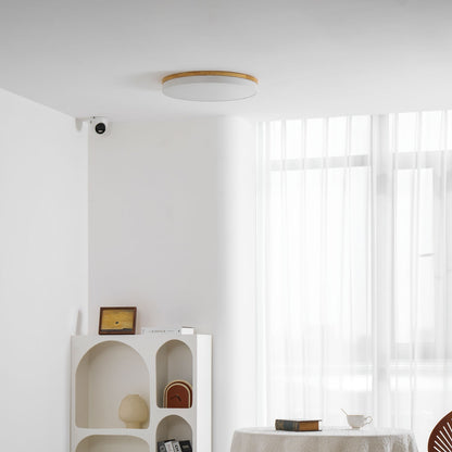 Still Timber Ceiling Light